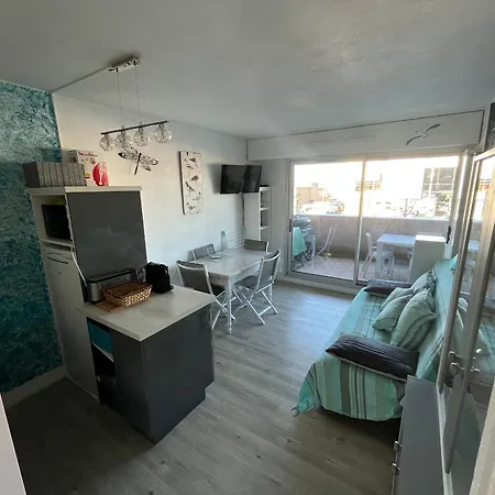 公寓 T2 Avec Terrasse, Parking Prive Et Wi-fi Inclus - Fr-1-319-144