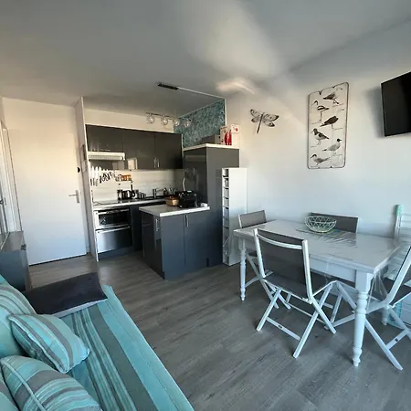 T2 Avec Terrasse, Parking Prive Et Wi-fi Inclus - Fr-1-319-144 公寓 阿卡雄