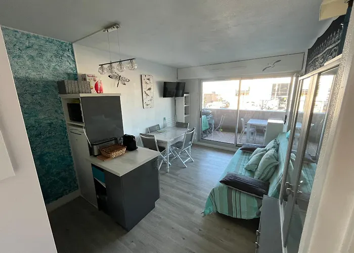 公寓 T2 Avec Terrasse, Parking Prive Et Wi-fi Inclus - Fr-1-319-144