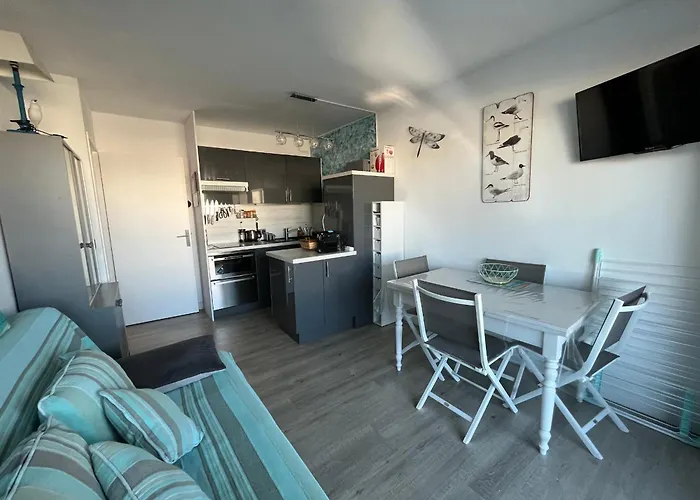 T2 Avec Terrasse, Parking Prive Et Wi-fi Inclus - Fr-1-319-144 公寓 阿卡雄