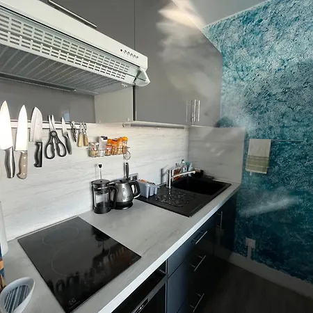 T2 Avec Terrasse, Parking Prive Et Wi-fi Inclus - Fr-1-319-144 Arcachon
